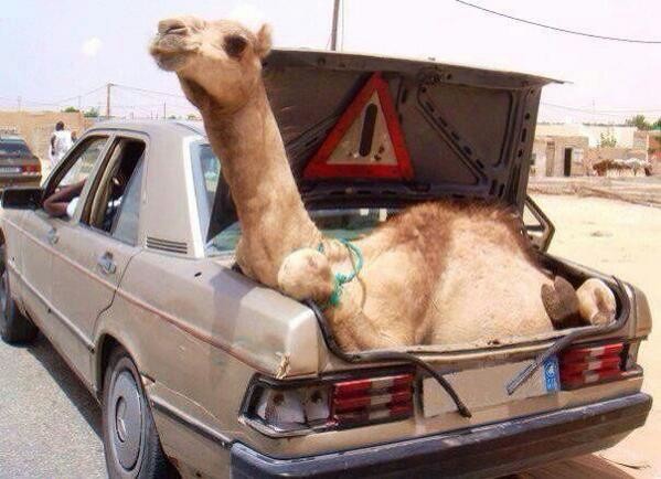 Тут всё намного серьёзнее автомобили, грузы, дорога, прикол, юмор