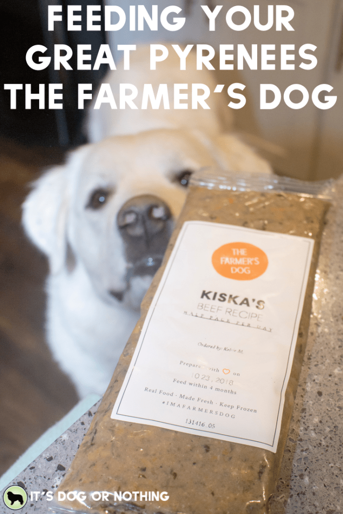 Feed fresh and keep your dog happy with The Farmer's Dog. It's a favorite for the Great Pyrenees at It's Dog or Nothing!