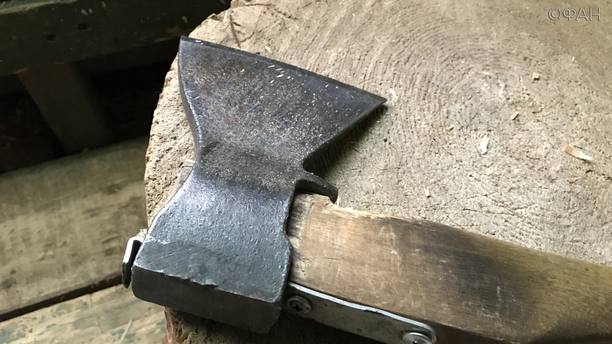 Муж пришел к жене в салон с топором: следователь в Ленобласти о громких преступлениях Общество