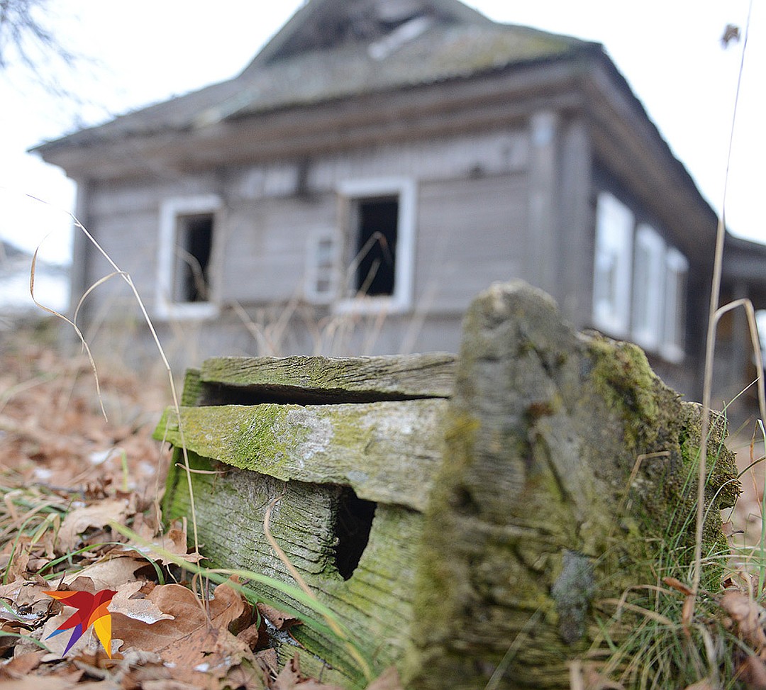 Заброшенный дом в мертвой деревне Халютино. Фото: Дмитрий СТЕШИН