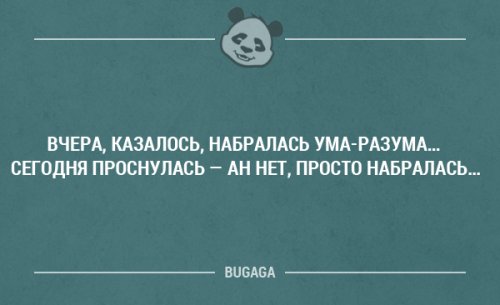 Забавные высказывания и мысли. Часть 15 (20 шт)