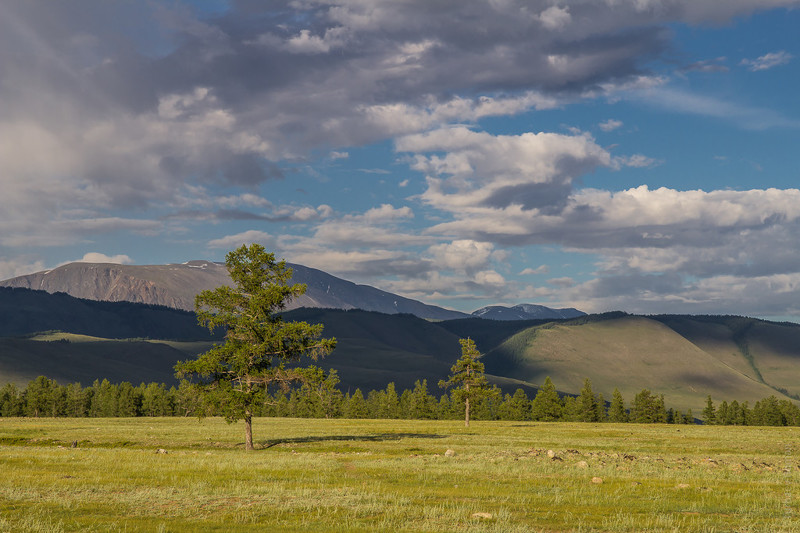 Еще Курайская степь алтай, путешествия, россия, укок, фото