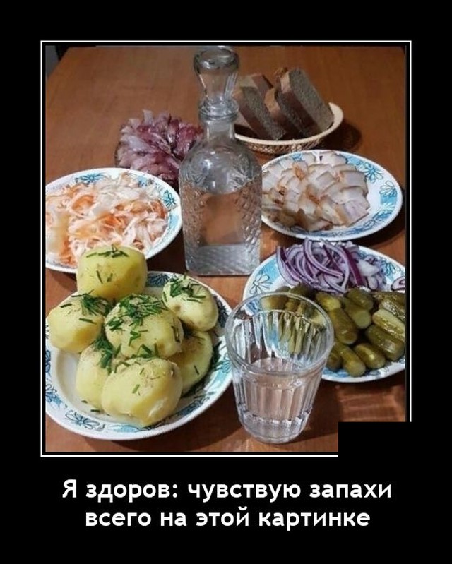 Самые новые демотиваторы 