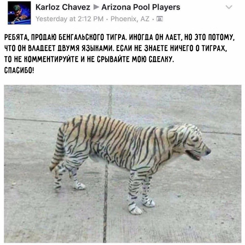 Смешные комментарии и высказывания из социальных сетей высказывания, комментарии, прикол