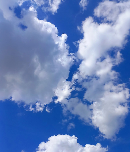 20250724_152004.jpg