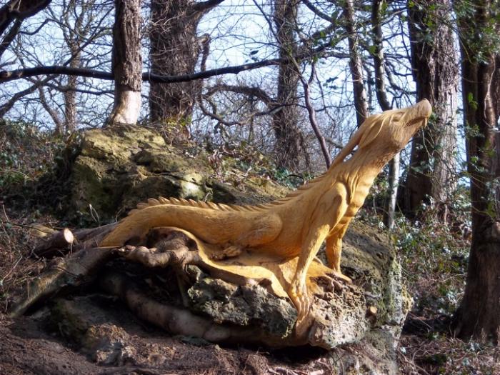 Вторая жизнь срубленных деревьев Вторая жизнь срубленных деревьев красивые фотографии,прикольные картинки,шикарные фотографии