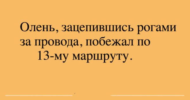 9 клевых анекдотов для поднятия настроения 