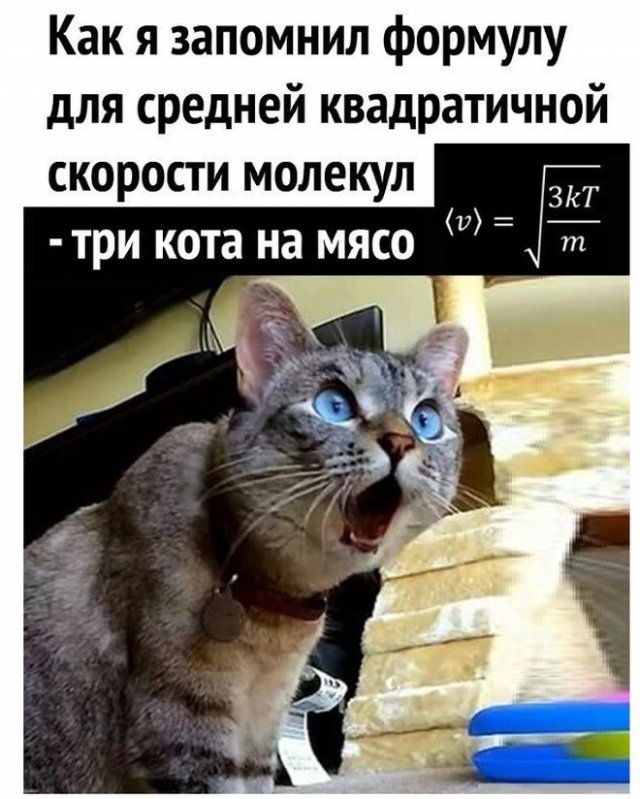 Странные и смешные лайфхаки 