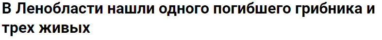 Они просто отправились за грибами, и вот что произошло грибы, лес, прикол, юмор