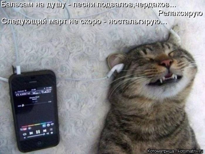 Лучшие котоматрицы за прошедшую неделю