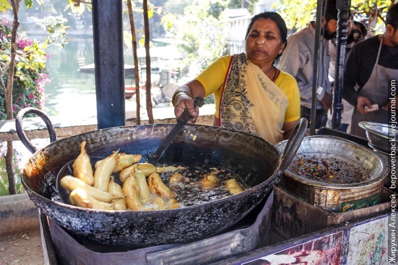 Как я чуть не стал вегетарианцем в Индии еда, путешествия, факты, фото