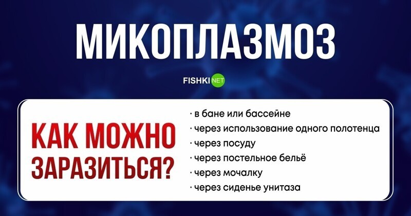 Что нужно помнить о бытовых методах передачи опасных заболеваний венерические заболевания,гигиена,здоровье,ЗПБП,ЗППП,инфекции,медицина