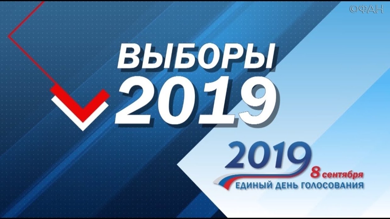 Как будет организована работа общественных наблюдателей на выборах в Петербурге