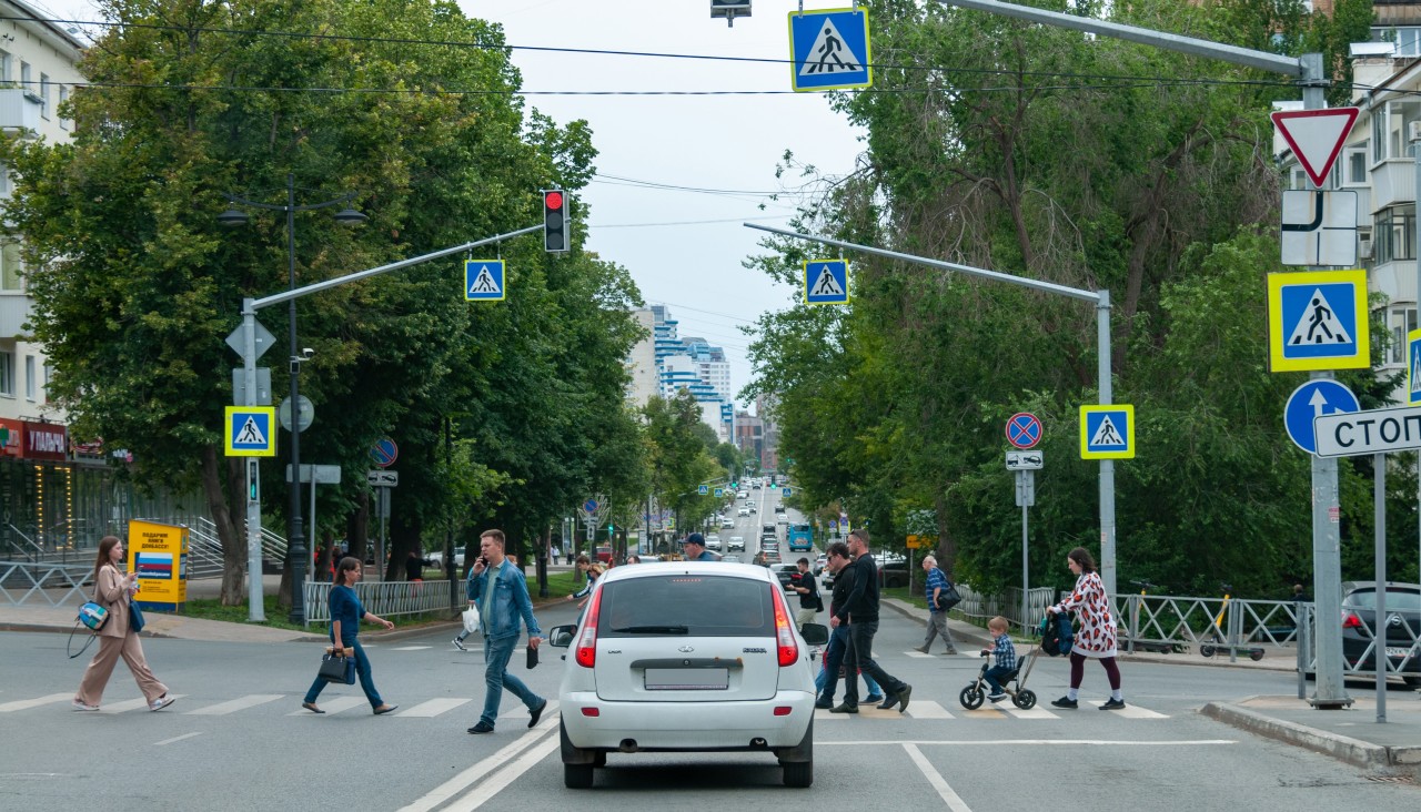 Власти Самары объяснили, куда делись деревья с улицы Куйбышева