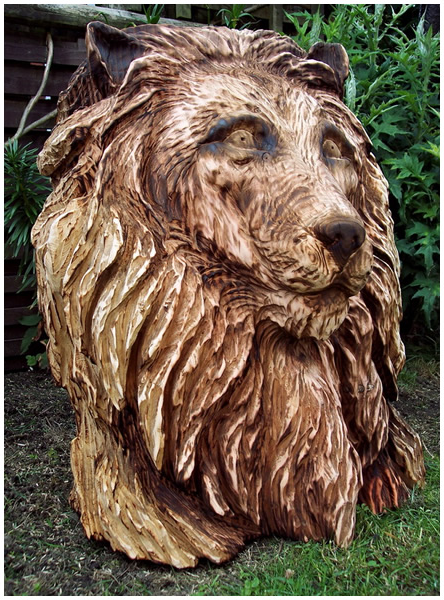 Вторая жизнь срубленных деревьев Вторая жизнь срубленных деревьев красивые фотографии,прикольные картинки,шикарные фотографии