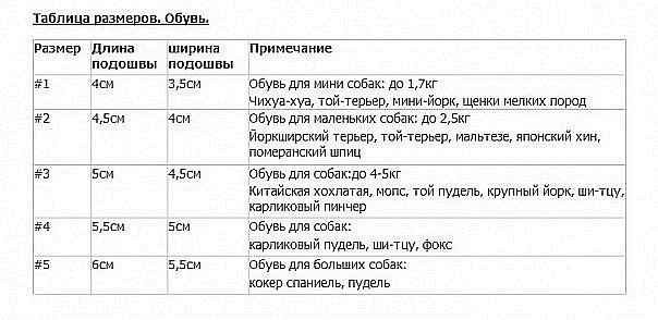 Снятие мерок с домашних животных Бесценно, планируете, комбинезончик, своего, любимчикаСамые, главные, мерки, обхват, туловища, около, передних, задних, длина, спинки