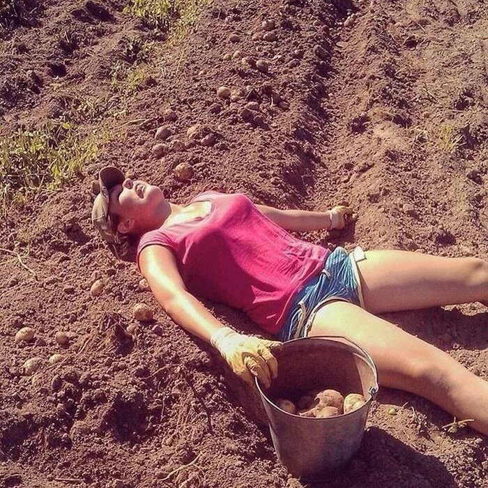 Простушки, обожающие месить грязь Простушки, обожающие месить грязь