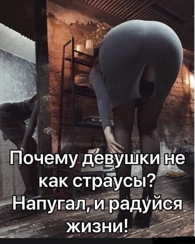 Попросила мужа сходить в магазин, дала ему шпаргалку, что нужно купить... прыгает, только, когда, батюшка, дверью, нужно, давно, покупок, бассейна, калькулятор, записную, книжку, узнал, женщина, Лидка, маечек, разбегается, рассказала, жизни, хлопнула