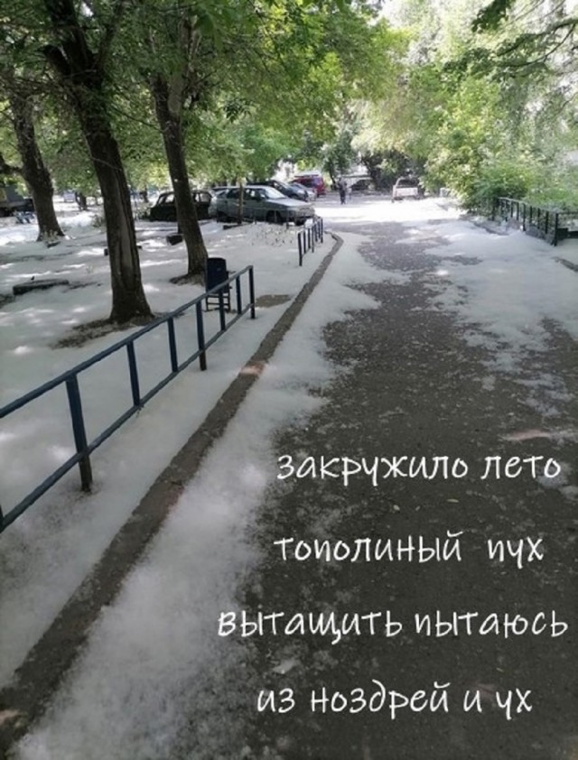 Анекдоты недели и что то к чаю... джеймс кэрри