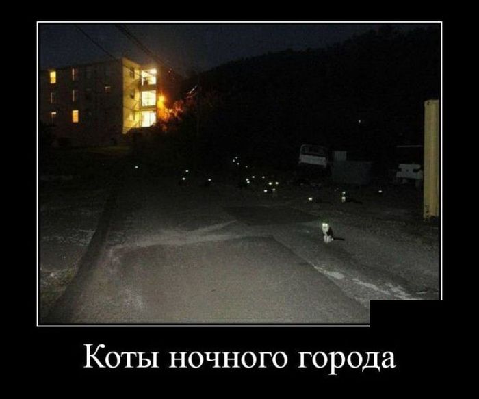 Демотиваторы (30 фото)