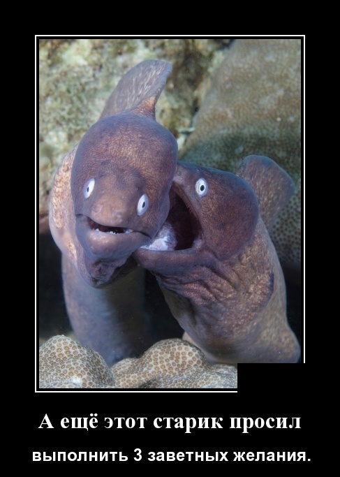 Подборка классных и забавных демотиваторов из нашей жизни Подборка классных и забавных демотиваторов из нашей жизни