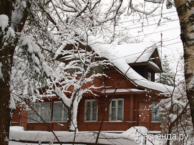 Оригинальные советы огороднику. Часть 5 советы