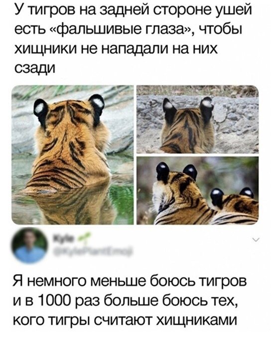 Ð¤Ð¾ÑÐ¾Ð¿Ð¾Ð´Ð±Ð¾ÑÐºÐ°