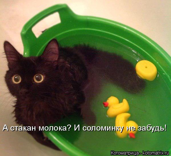 Котоматрица: А стакан молока? И соломинку не забудь!