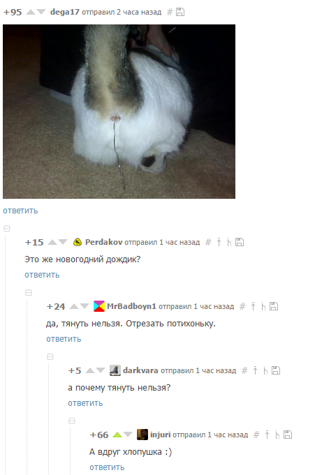 Смешные комментарии и высказывания из социальных сетей высказывания, комментарии, прикол