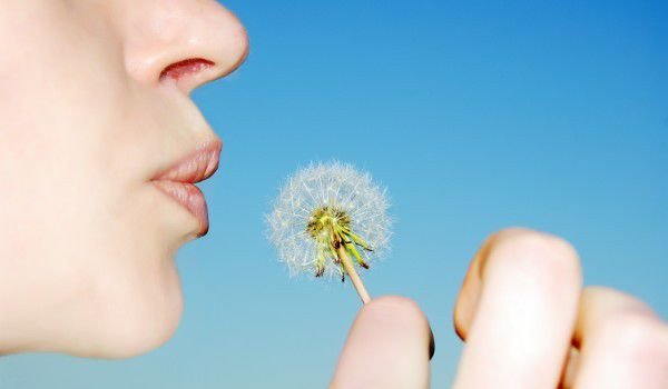 Святой Харалампий-Сегодня исполнятся все желания