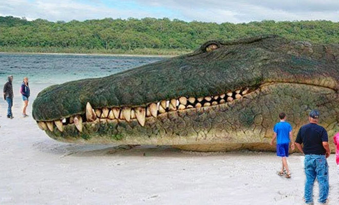 8 миллионов лет назад в Амазонии жил самый крупный хищник в истории. Его воссоздали и поняли, что длина крокодила была 20 метров