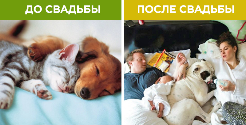 такому жизнь после замужества картинки каждая