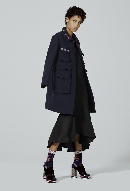 Iceberg Pre-Fall 2017