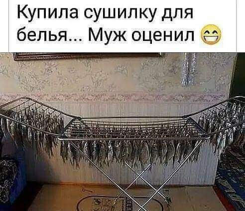 Свежий юмор для прекрасного настроения Свежий юмор для прекрасного настроения