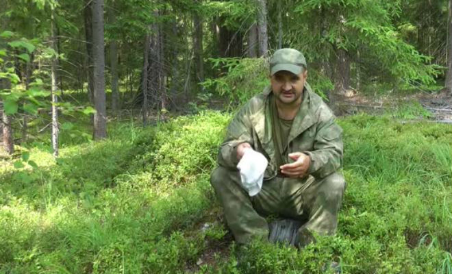 Егерский способ защиты от комаров комары,лайфхак,лес,муравьиная кислота,Пространство