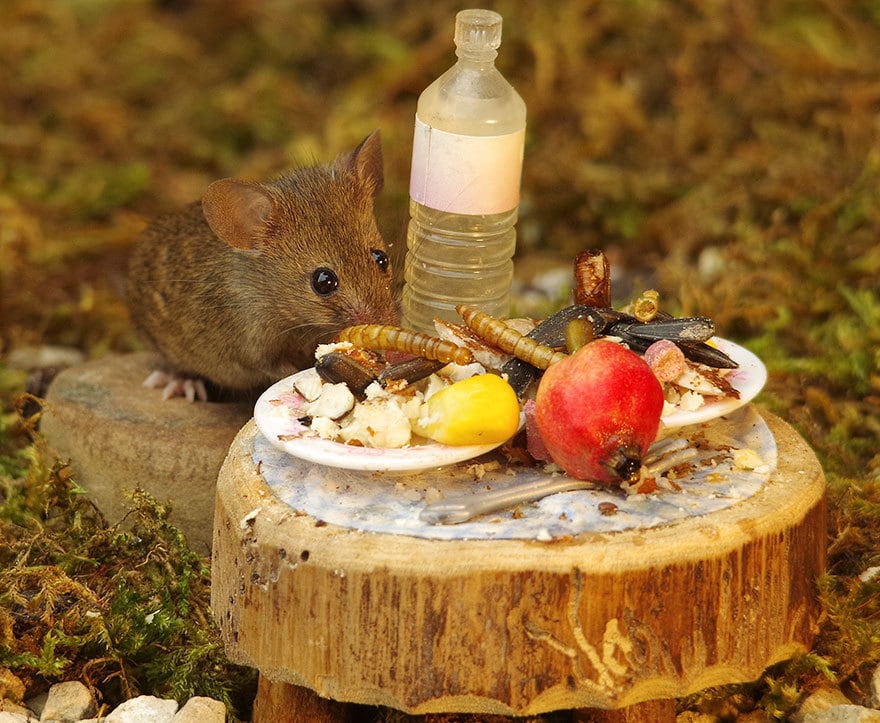 https://twizz.ru/wp-content/uploads/2018/11/miniature-mice-family-house-simon-dell-49.jpg