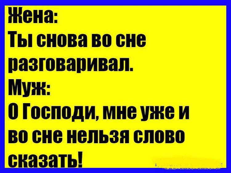 Подборка самых интересных коротких жизненных смешных историй 