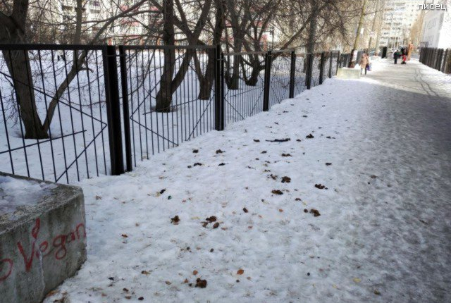 Весенние приколы. Классная ржака! смешные картинки