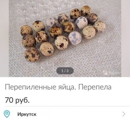Ошибки, на которые нельзя не обратить внимания (16 фото) 12