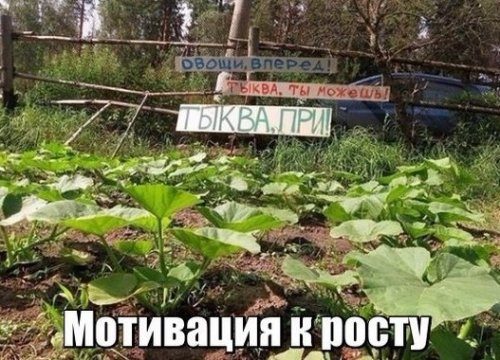 Самые прикольные фотомемы дня!