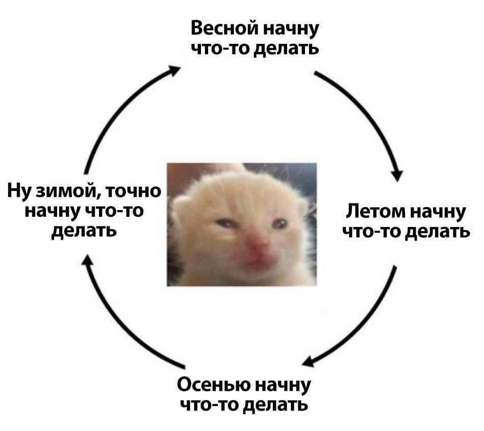 Бодрые, смешные картинки с надписями для хорошего настроения Бодрые, смешные картинки с надписями для хорошего настроения