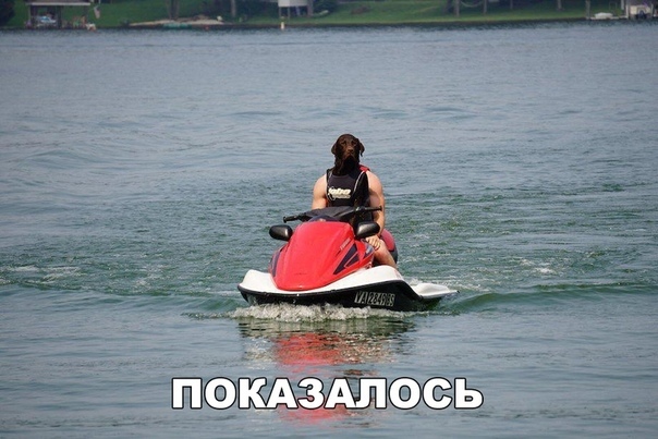 Забавные фотографии с прикольными надписями из нашей жизни 