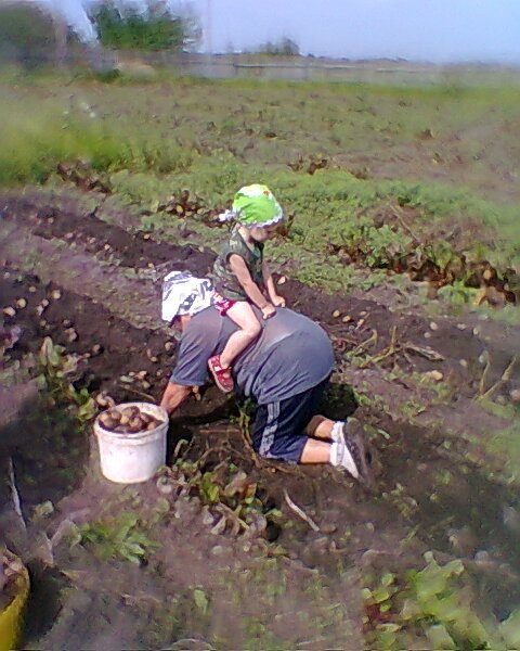 ПОЗИТИВНЫЙ ПОСТ+ 412