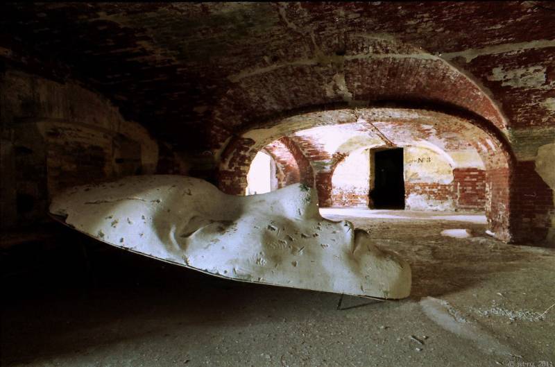 Форт «Александр I»: колыбель мировой военной микробиологии Форт «Александр I»: колыбель мировой военной микробиологии