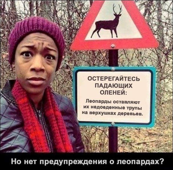 Забавные картинки картинки для хорошего настроения, прикол, юмор