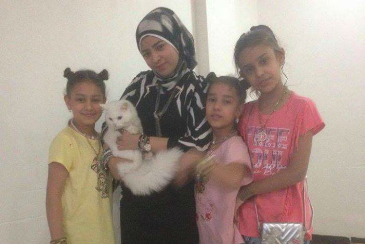 Потерявшийся кот вернулся в семью иракских беженцев, преодолев полмира (10 фото)