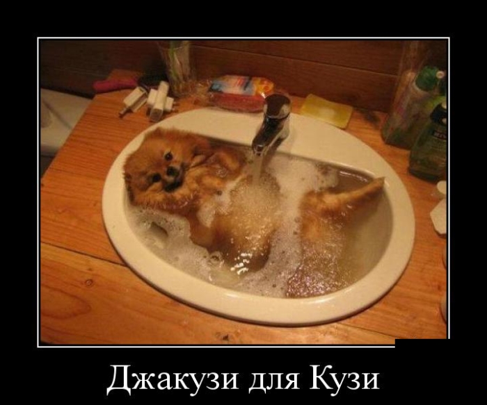 Демотиваторы (30 фото)