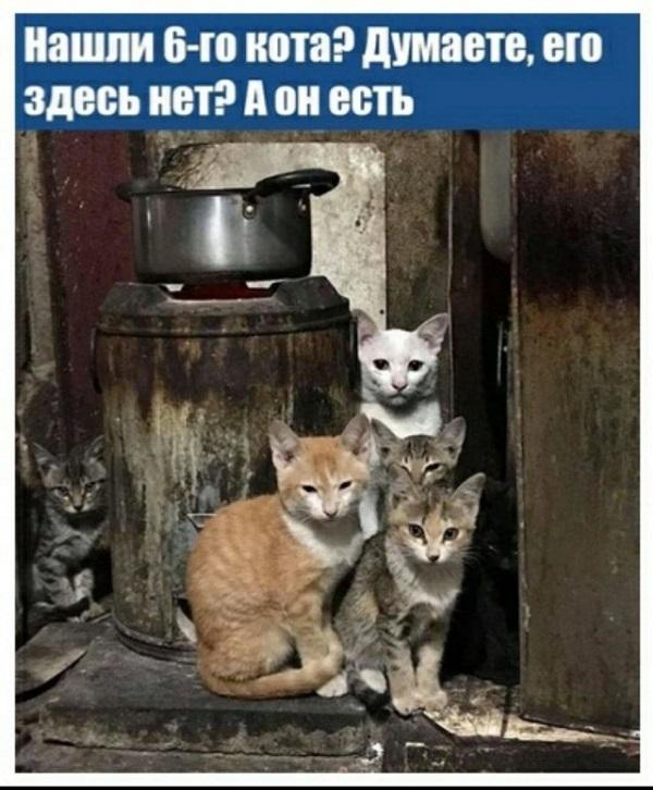 Смотреть клевые картинки 