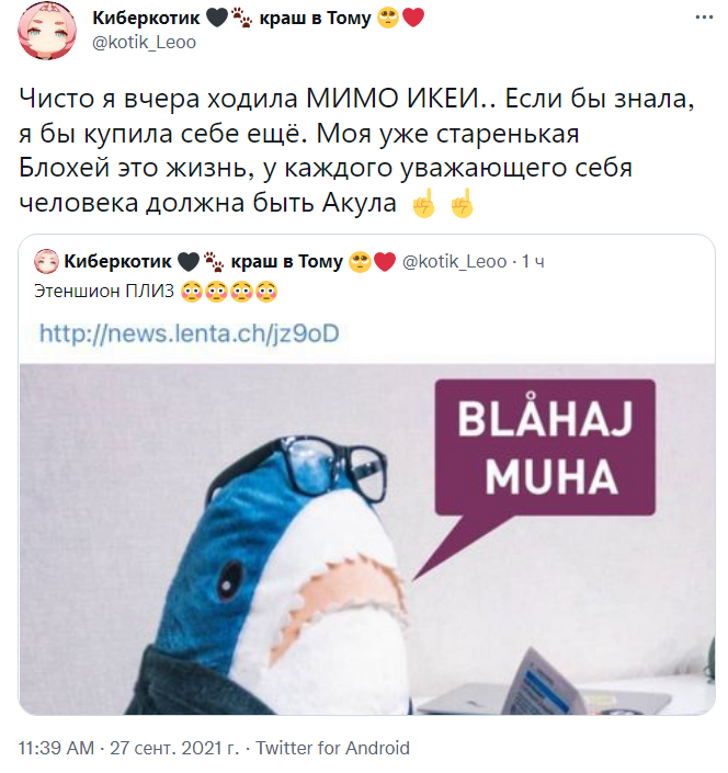 блохей акула