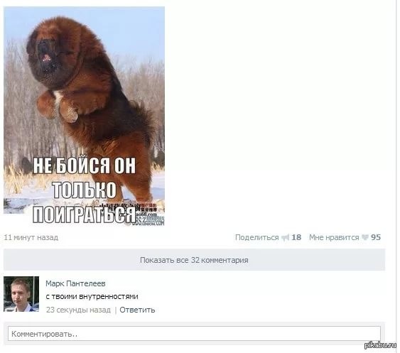 Комментарии из сети коменты, прикол, соцсети, юмор